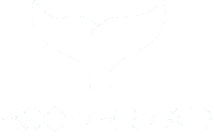 Eco Mermaid
